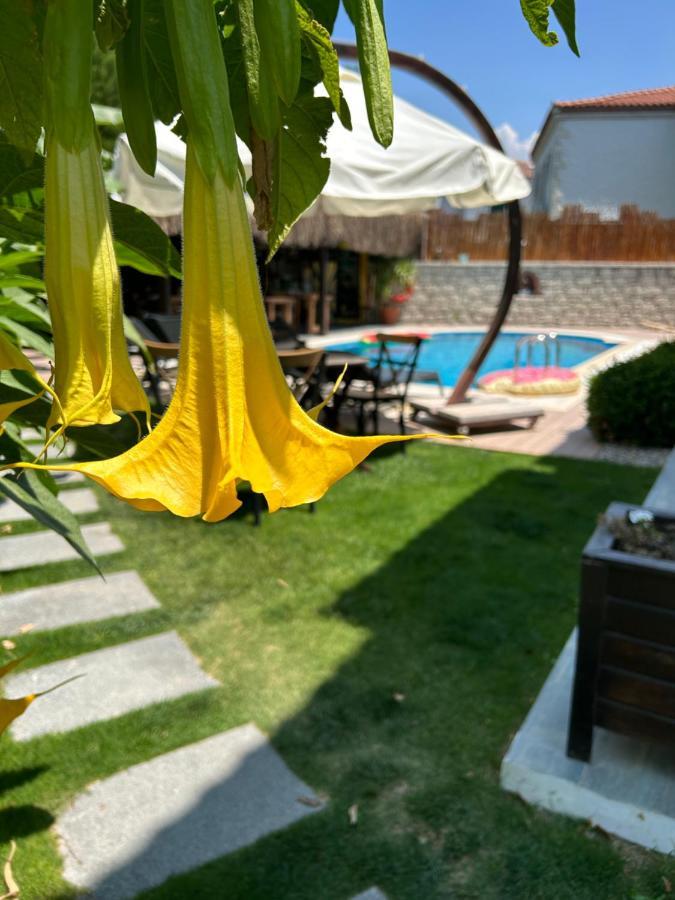 Pupa Alacati Butik Otel Çeşme Exterior foto